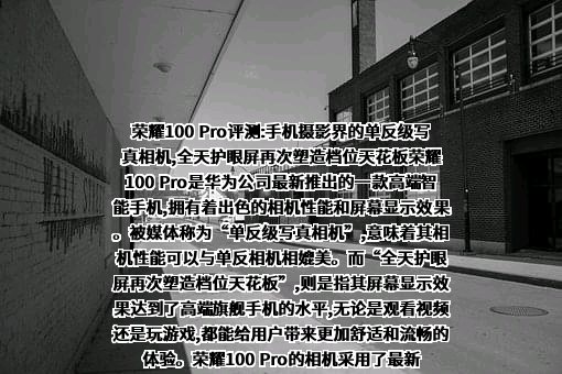 荣耀终端有限公司