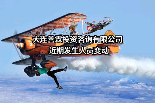 大连善霖投资咨询有限公司