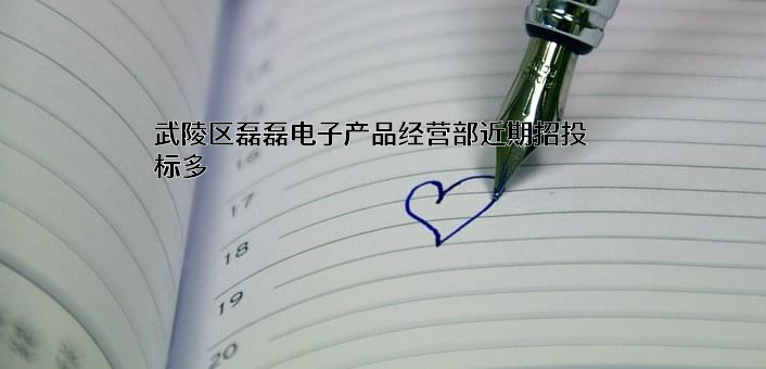 武陵区磊磊电子产品经营部