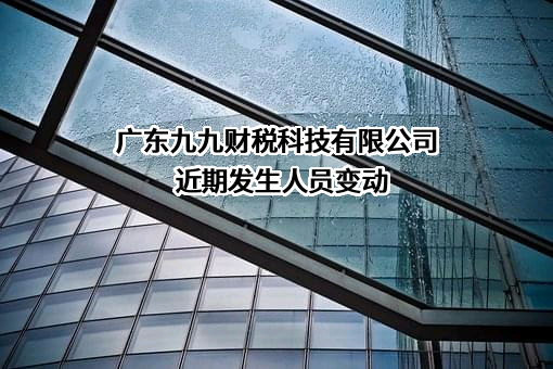 广东九九财税科技有限公司