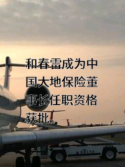中国大地财产保险股份有限公司