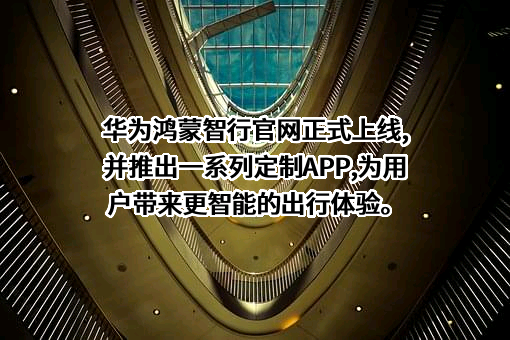 华为技术有限公司