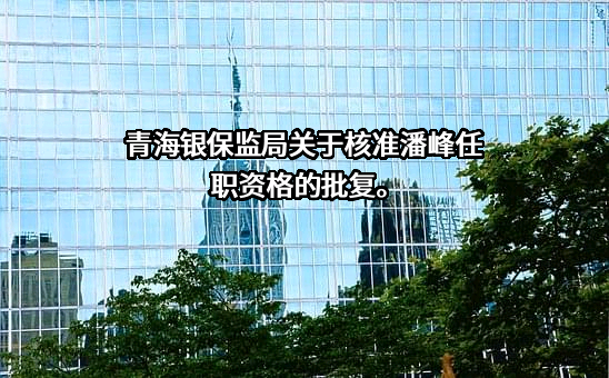 中国农业银行股份有限公司