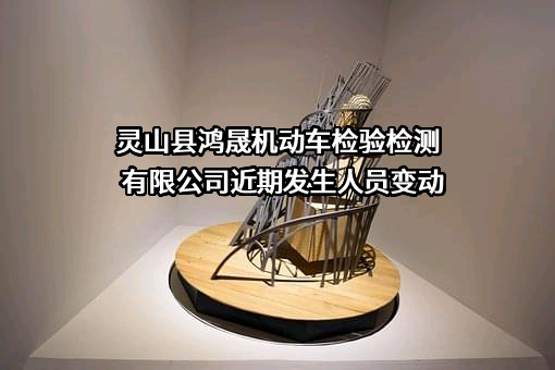 灵山县鸿晟机动车检验检测有限公司