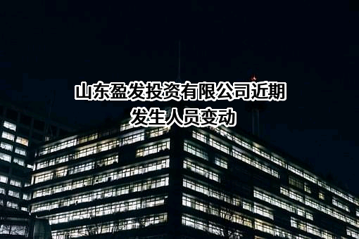 山东盈发投资有限公司