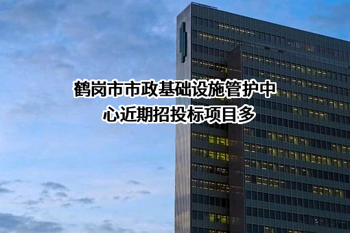 鹤岗市市政基础设施管护中心