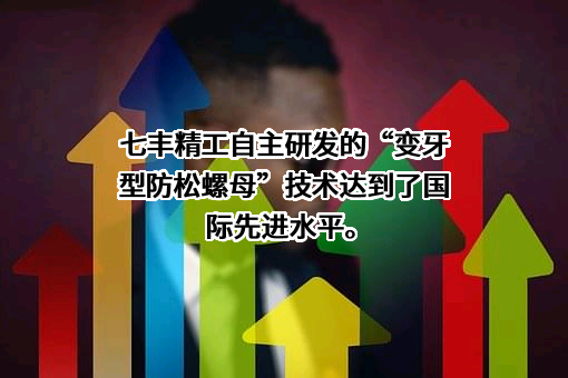 七丰精工科技股份有限公司