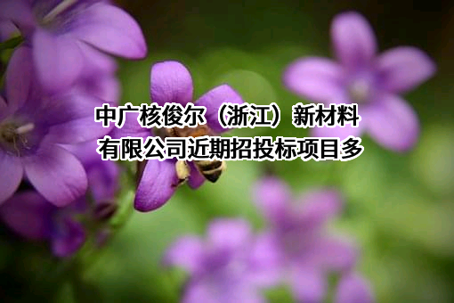 中广核俊尔(浙江)新材料有限公司