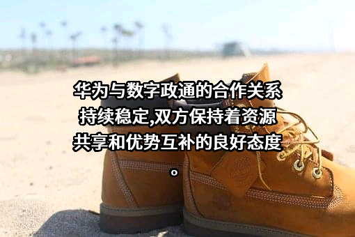 北京数字政通科技股份有限公司
