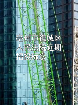 亳州市谯城区人民法院近期招投标项目多