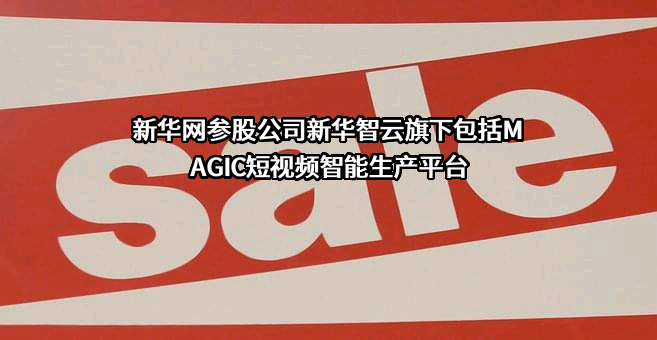 新华网股份有限公司