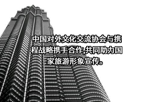 中国对外文化交流协会