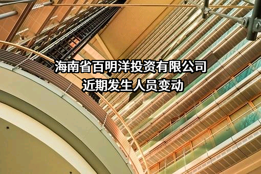 海南省百明洋投资有限公司