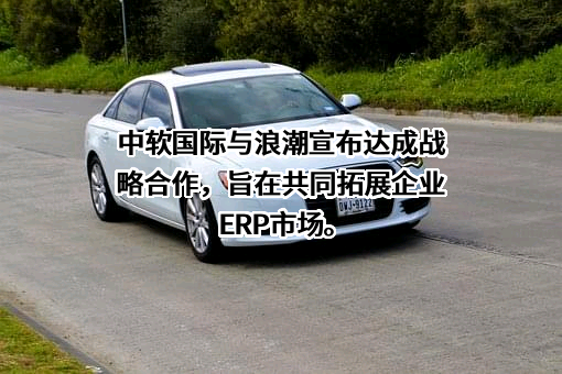 中软国际科技服务有限公司
