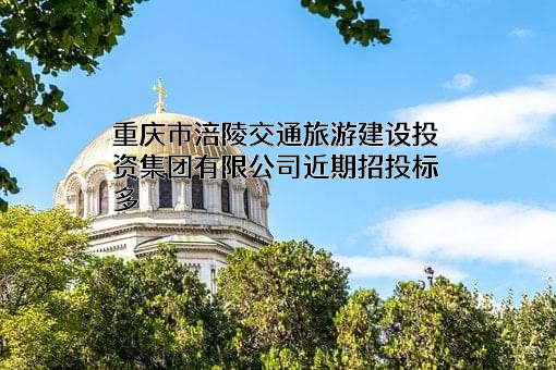 重庆市涪陵交通旅游建设投资集团有限公司