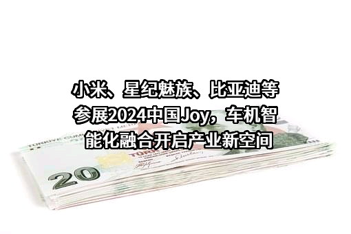 比亚迪股份有限公司