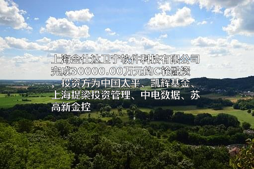 上海金仕达卫宁软件科技有限公司