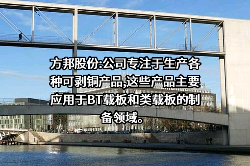 广州方邦电子股份有限公司