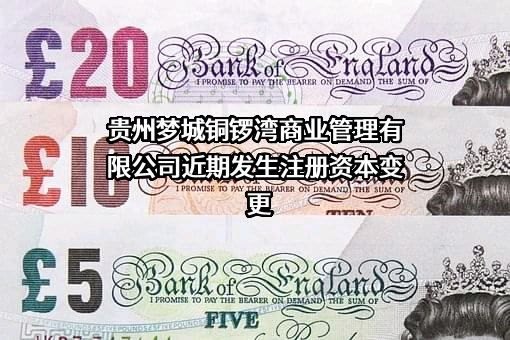 贵州梦城铜锣湾商业管理有限公司