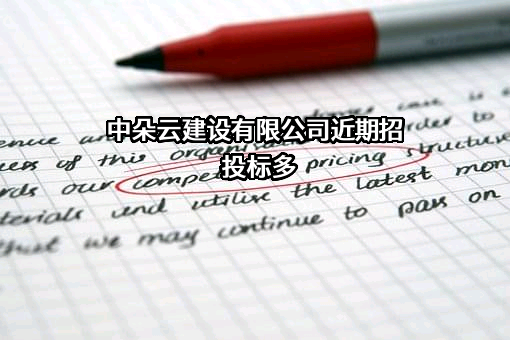 中朵云建设有限公司
