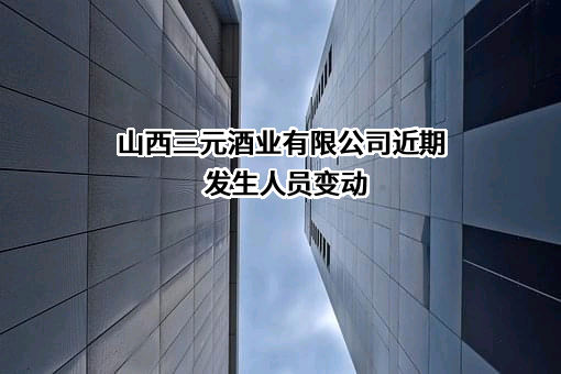 山西三元酒业有限公司