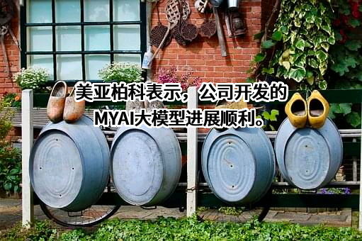 厦门市美亚柏科信息股份有限公司