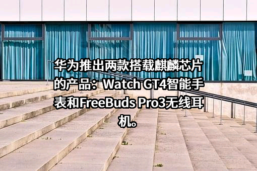 华为技术有限公司