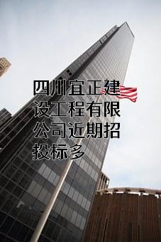 四川宜正建设工程有限公司