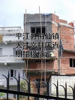 平江县梅仙镇天才文具店
