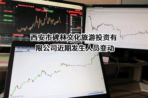 西安市碑林文化旅游投资有限公司
