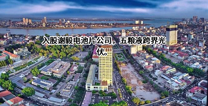 高景太阳能股份有限公司