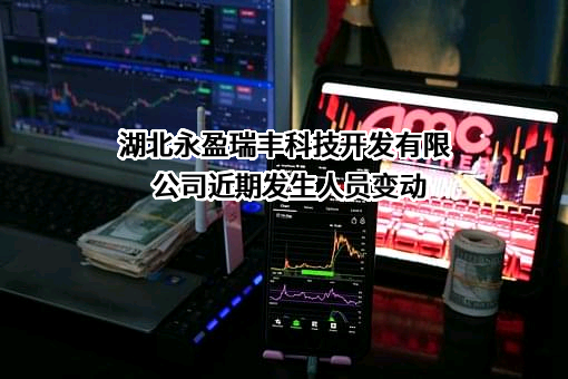 湖北永盈瑞丰科技开发有限公司