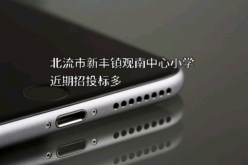 北流市新丰镇观南中心小学