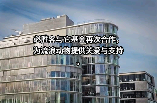 北京爱它动物保护公益基金会