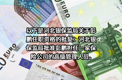 中荷人寿保险有限公司
