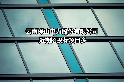 云南保山电力股份有限公司