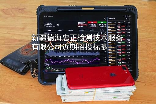 新疆德海忠正检测技术服务有限公司