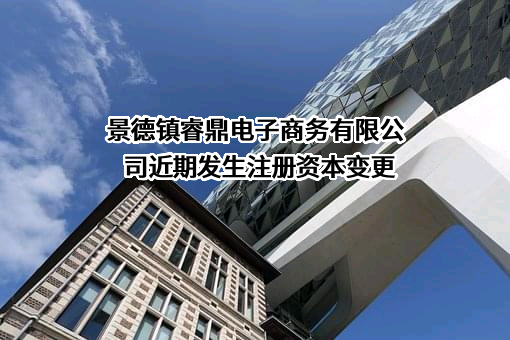 景德镇睿鼎电子商务有限公司