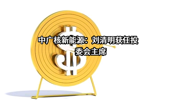 中国广核新能源控股有限公司