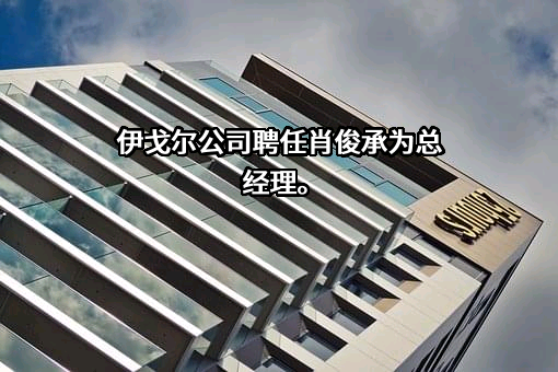 伊戈尔电气股份有限公司