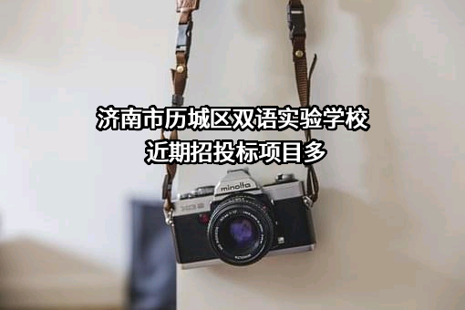 济南市历城区双语实验学校