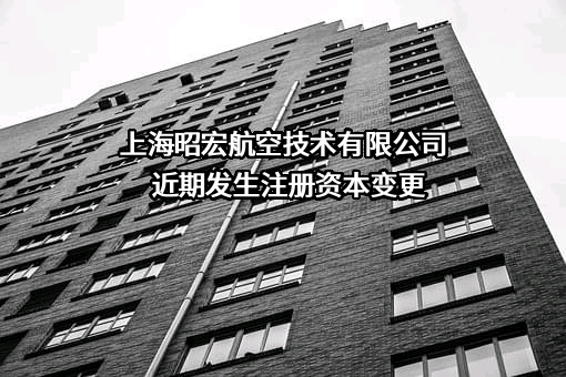 上海昭宏航空技术有限公司
