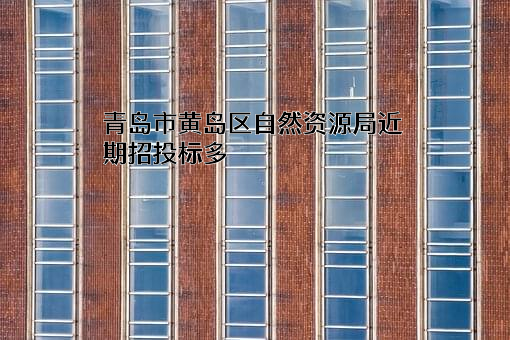 青岛市黄岛区自然资源局