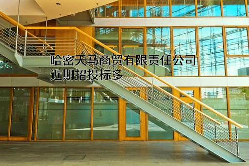 哈密天马商贸有限责任公司