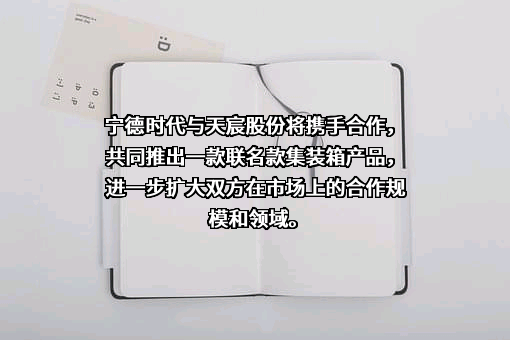 上海市天宸股份有限公司