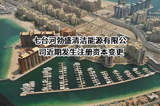 七台河勃盛清洁能源有限公司