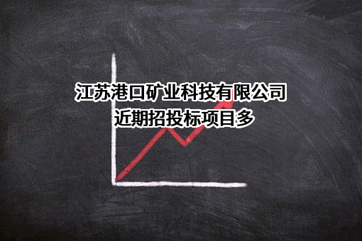 江苏港口矿业科技有限公司