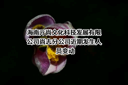 海南亓尚文化科技发展有限公司尚志分公司