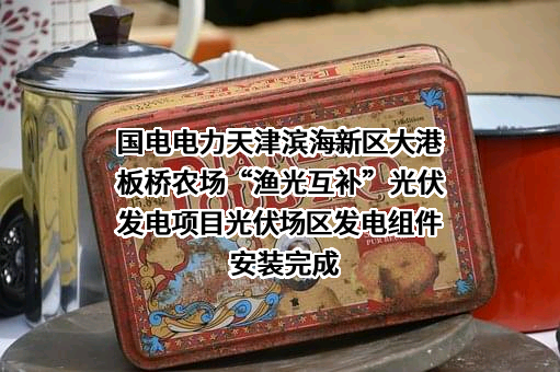 国电电力发展股份有限公司