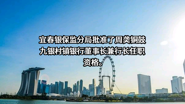 铜鼓九银村镇银行股份有限公司
